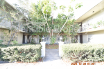 302 Danube Ave #2 Tampa, FL 33606